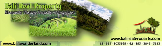 Land for sale in Ubud Bali.