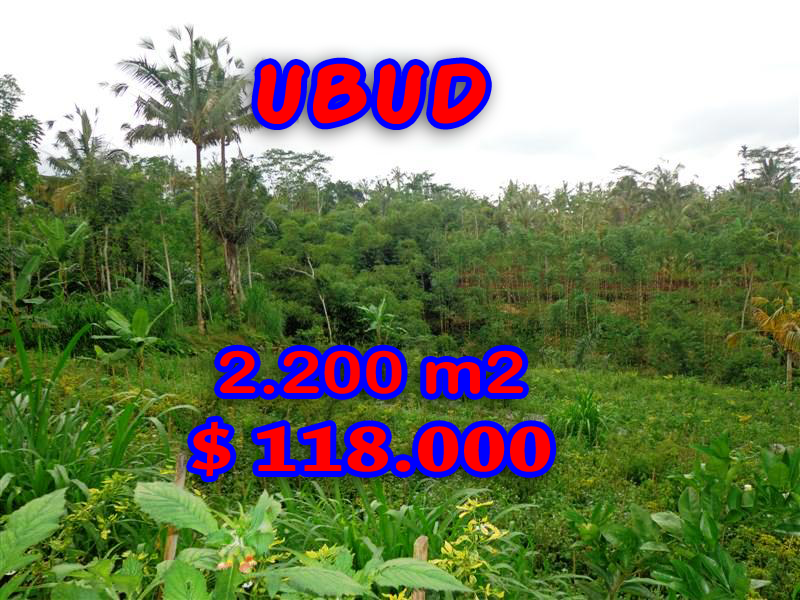 Land in Ubud for sale