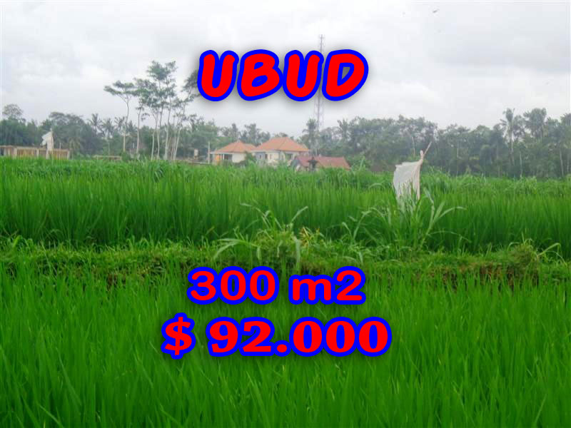Property for sale in Ubud land