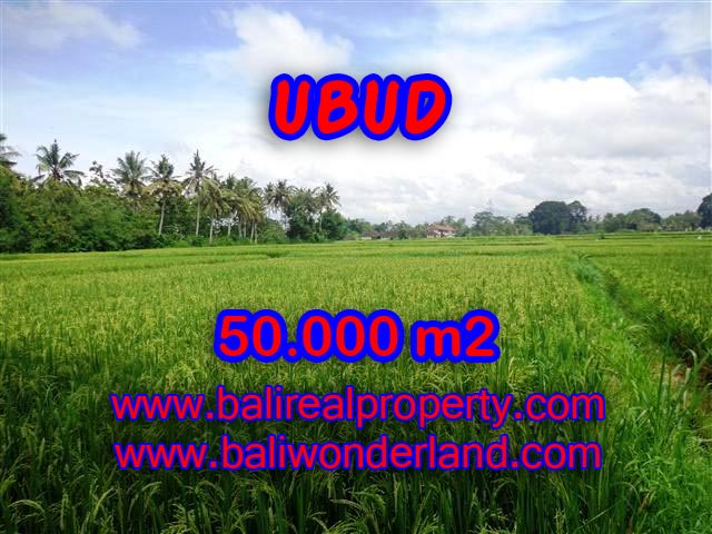 Land for sale in Ubud Bali, Great view in Central Ubud – TJUB351