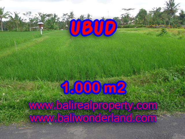 Fantastic Land for sale in Ubud Bali, rice paddy view in Ubud Tampak siring – TJUB345