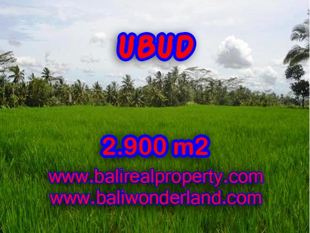 Land for sale in Ubud Bali, Wonderful view in Ubud Payangan – TJUB356
