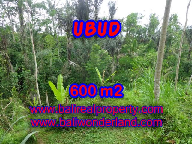 Land for sale in Ubud Bali, Magnificent view in Ubud Tegalalang – TJUB346