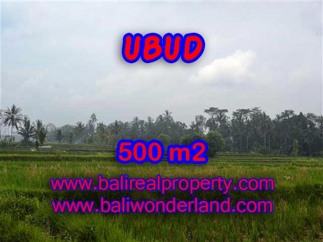 Land in Ubud Bali for sale, Exotic view in Ubud Pejeng – TJUB363