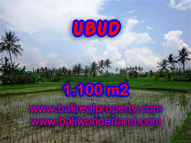 Land in Bali for sale, great view in Ubud Bali – TJUB376