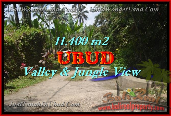 Land in Bali for sale, Stunning view in Ubud Bali – TJUB431