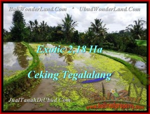 Magnificent Ubud Tegalalang BALI LAND FOR SALE TJUB471