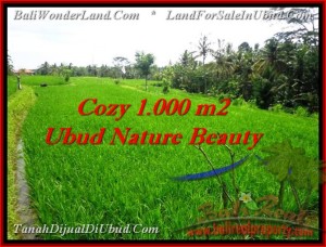 Beautiful LAND FOR SALE IN Ubud Tegalalang BALI TJUB478