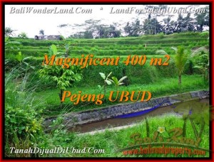 Affordable PROPERTY Ubud Pejeng BALI LAND FOR SALE TJUB483