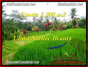 Magnificent PROPERTY LAND SALE IN Ubud Tegalalang BALI TJUB480