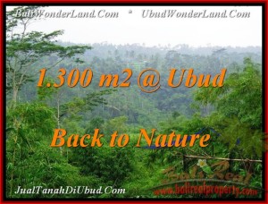 FOR SALE Beautiful PROPERTY LAND IN Ubud Tegalalang BALI TJUB481