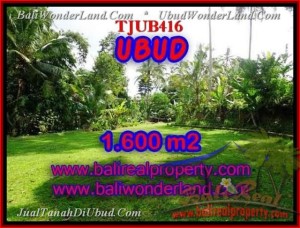 Affordable PROPERTY 1,600 m2 LAND FOR SALE IN UBUD BALI TJUB416