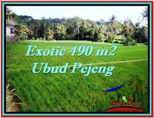 Exotic LAND IN Ubud Tampak Siring BALI FOR SALE TJUB512