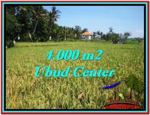 Affordable LAND IN Sentral Ubud BALI FOR SALE TJUB527