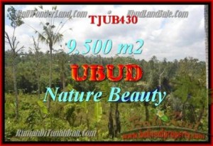Affordable Ubud Payangan BALI LAND FOR SALE TJUB430