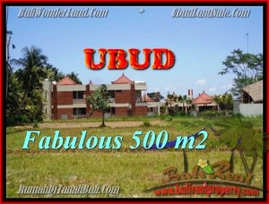 Beautiful PROPERTY 500 m2 LAND IN Sentral Ubud FOR SALE TJUB435