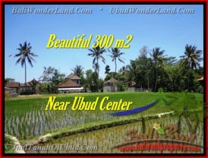 FOR SALE Beautiful LAND IN Sentral Ubud BALI TJUB436
