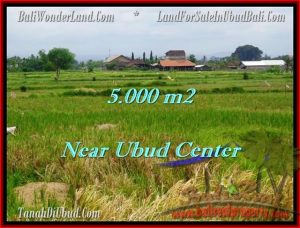 LAND FOR SALE IN Ubud Center BALI TJUB474