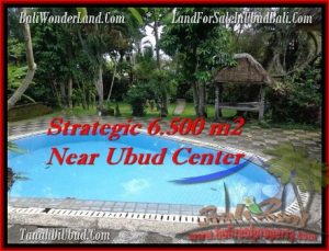 Magnificent PROPERTY 6,500 m2 LAND IN Ubud Tegalalang FOR SALE TJUB479