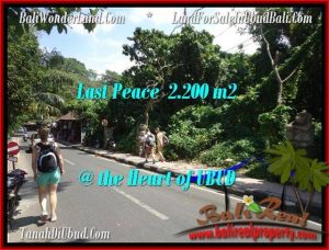 Beautiful 2,200 m2 LAND FOR SALE IN Sentral Ubud TJUB509