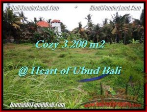 3,200 m2 LAND IN UBUD BALI FOR SALE TJUB510