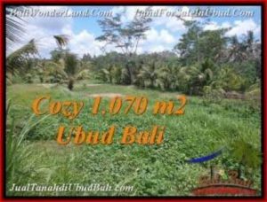 Magnificent PROPERTY LAND IN UBUD FOR SALE TJUB536
