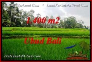 Affordable 1,400 m2 LAND FOR SALE IN UBUD BALI TJUB539