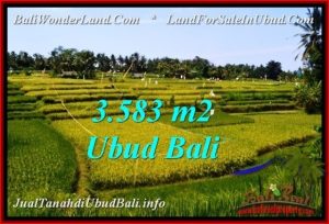 Exotic UBUD BALI 3,583 m2 LAND FOR SALE TJUB542
