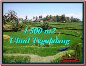 Beautiful 1,500 m2 LAND IN Ubud Tegalalang FOR SALE TJUB528
