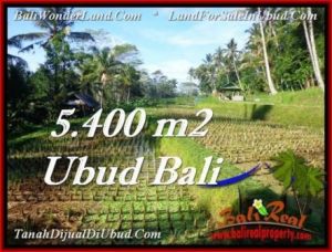Exotic 5,400 m2 LAND IN UBUD BALI FOR SALE TJUB554