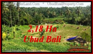 Magnificent 21,800 m2 LAND FOR SALE IN Sentral Ubud TJUB546