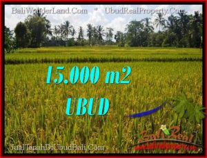 Magnificent PROPERTY LAND IN UBUD BALI FOR SALE TJUB551