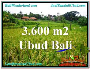 Exotic LAND IN Sentral Ubud BALI FOR SALE TJUB566