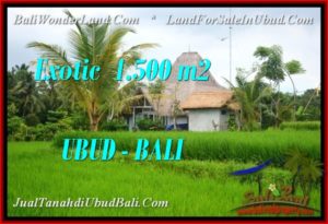 Exotic PROPERTY 1,500 m2 LAND IN Ubud Pejeng BALI FOR SALE TJUB541