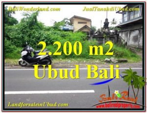 Affordable 2,200 m2 LAND SALE IN UBUD BALI TJUB565