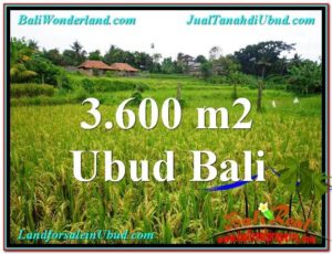 FOR SALE Exotic LAND IN Sentral Ubud BALI TJUB566