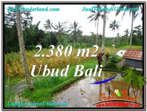 Affordable 2,380 m2 LAND SALE IN UBUD BALI TJUB567