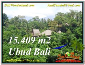 Exotic 15,490 m2 LAND IN UBUD BALI FOR SALE TJUB568