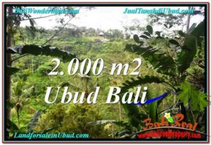 Magnificent 2,000 m2 LAND FOR SALE IN Ubud Payangan TJUB573