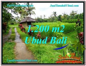Exotic LAND FOR SALE IN UBUD TJUB559