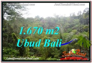 Magnificent PROPERTY LAND IN UBUD BALI FOR SALE TJUB569
