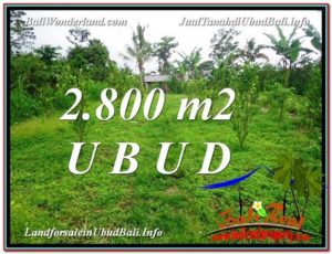 FOR SALE Magnificent PROPERTY 2,800 m2 LAND IN UBUD BALI TJUB592
