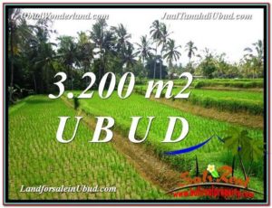 Magnificent PROPERTY LAND FOR SALE IN UBUD TJUB594