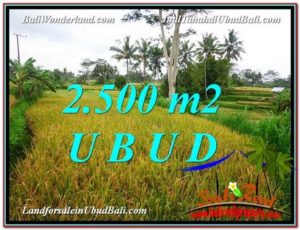Magnificent PROPERTY 2,500 m2 LAND IN Ubud Pejeng FOR SALE TJUB577