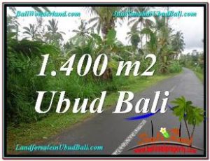 FOR SALE Exotic PROPERTY LAND IN Ubud Tegalalang BALI TJUB612