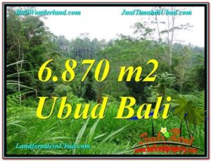 Affordable 6,870 m2 LAND IN UBUD FOR SALE TJUB602