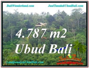 FOR SALE Magnificent LAND IN Ubud Tampak Siring BALI TJUB603
