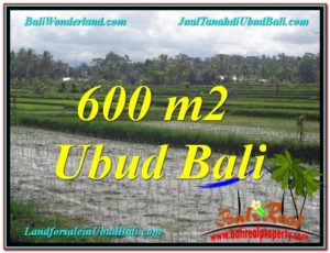 Exotic PROPERTY LAND IN UBUD FOR SALE TJUB607