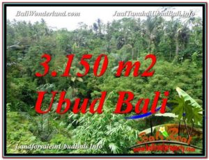 FOR SALE Beautiful 3,150 m2 LAND IN UBUD TJUB608