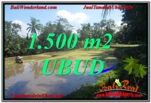FOR SALE Beautiful PROPERTY 1,500 m2 LAND IN UBUD BALI TJUB630